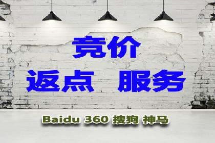 成功SEM代理案例：精准投放的策略