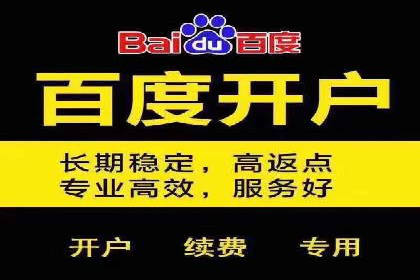 SEM外包服务应用案例分析